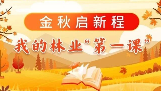 金秋启新程，我的林业“第一课”（一）